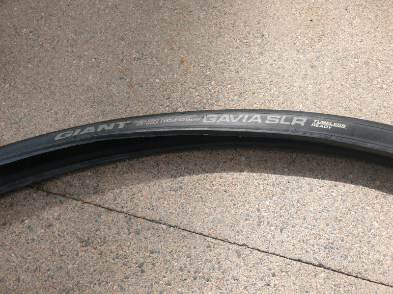 giant gavia slr
